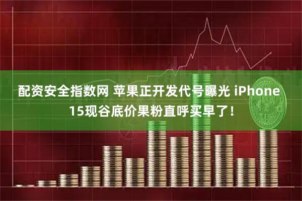配资安全指数网 苹果正开发代号曝光 iPhone 15现谷底价果粉直呼买早了！
